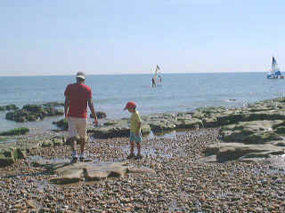 Hastings16.jpg (123123 bytes)