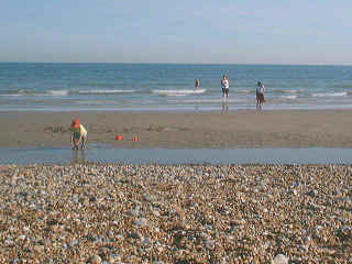 Hastings18.jpg (128626 bytes)