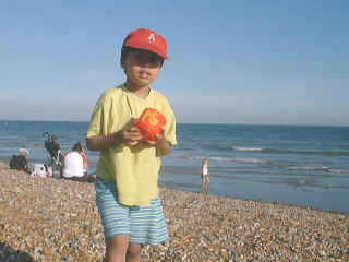 Hastings19.jpg (85731 bytes)