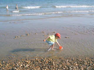 Hastings20.jpg (106632 bytes)