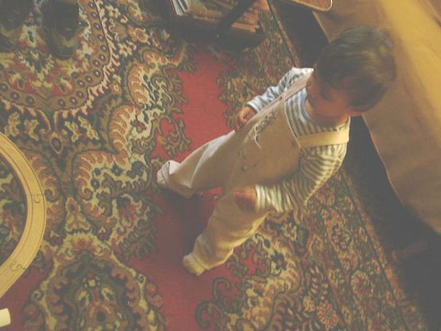 anish16.jpg (46352 bytes)