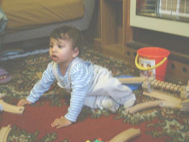 anish17.jpg (37950 bytes)