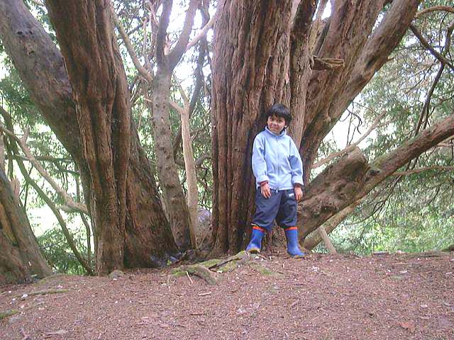 bh10.jpg (77204 bytes)