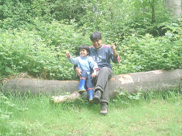 bh11.jpg (77920 bytes)