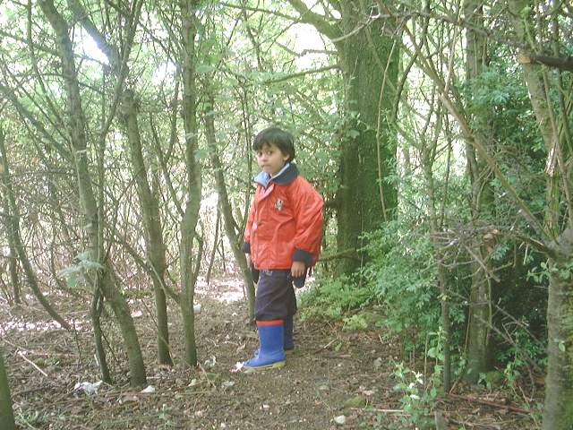 bh3.jpg (83159 bytes)