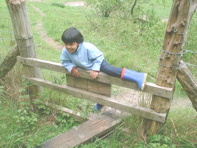 bh5.jpg (65511 bytes)