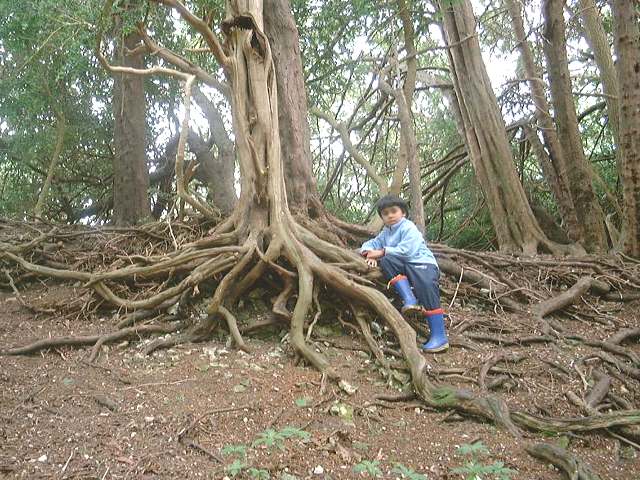 bh9.jpg (80436 bytes)