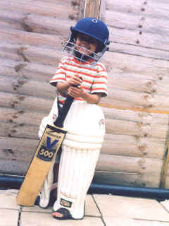cricket02.jpg (62076 bytes)