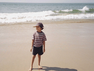 dyl-goa-12.gif (194985 bytes)