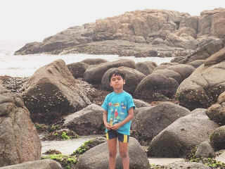 dyl-goa-16.jpg (86735 bytes)