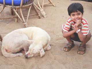 dyl-goa-20.jpg (77714 bytes)