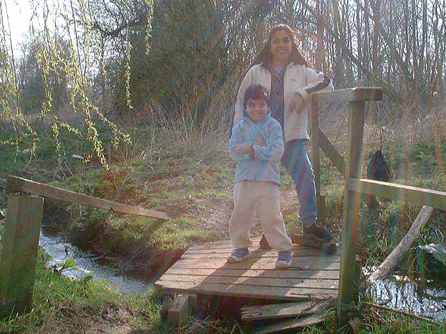 hotel-01.jpg (96338 bytes)