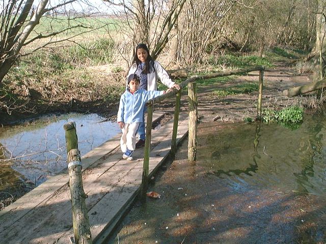 hotel-04.jpg (103799 bytes)