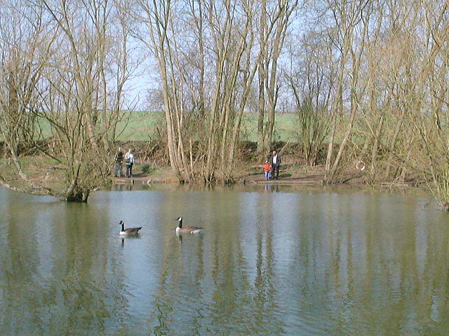 hotel-14.jpg (88908 bytes)