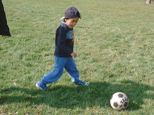 hotel-18.jpg (98220 bytes)