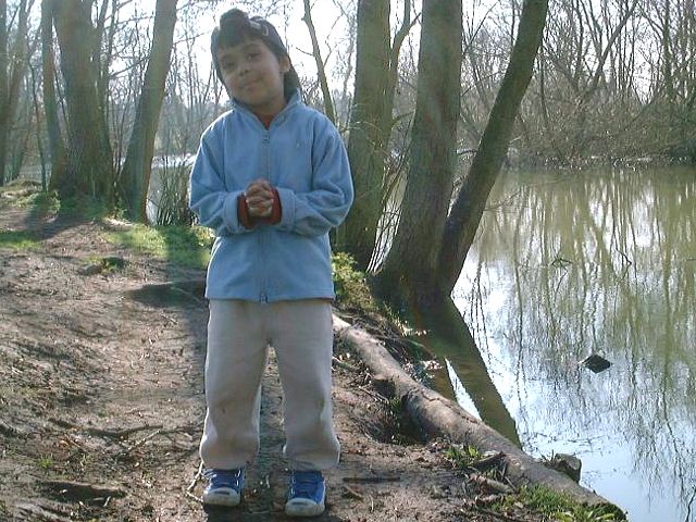 hotel-31.jpg (94392 bytes)