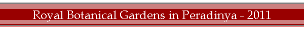 Royal Botanical Gardens in Peradinya - 2011