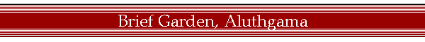 Brief Garden, Aluthgama
